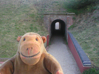 Mr Monkey looking at the Sally Port