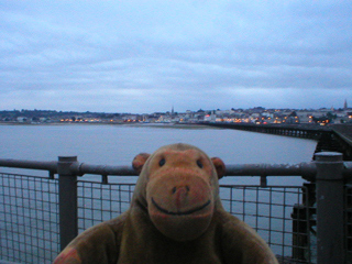 Mr Monkey looking at Ryde from the pierhead