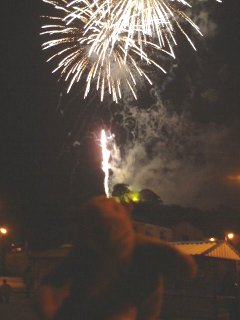 Fireworks launching from a castle behind Mr Monkey