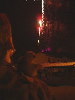 Mr Monkey watching fireworks