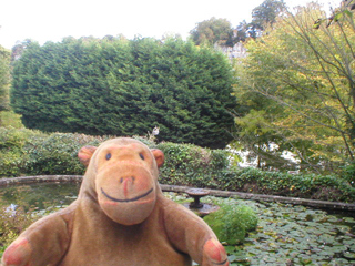 Mr Monkey looking at the pond outside the hotel