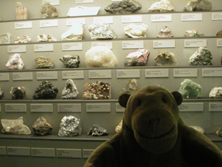 Mr Monkey looking at a cabinet of minerals