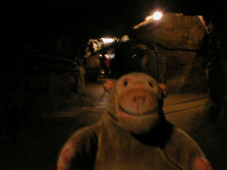 Mr Monkey walking through Temple Mine