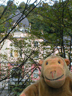 Mr Monkey looking at the Mining Museum through the trees