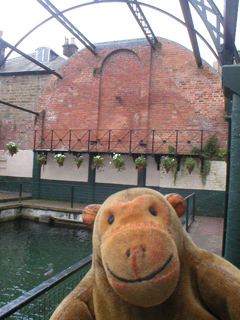 Mr Monkey looking at the girders over the Thermal Pool