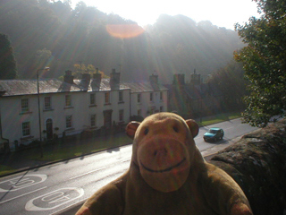 Mr Monkey looking at Derby Road in the morning