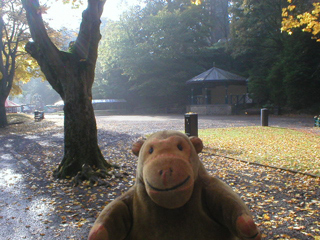 Mr Monkey in Derwent Gardens by day