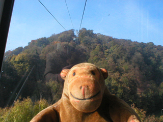 Mr Monkey looking towards the Heights of Abraham