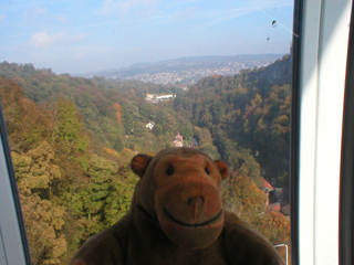 Mr Monkey looking over at Matlock from the cable car