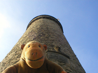 Mr Monkey looking up at the Victoria Prospect Tower