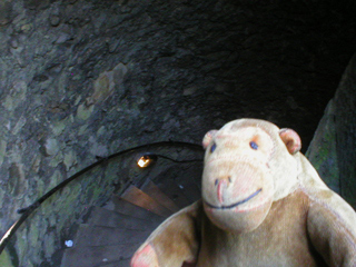 Mr Monkey looking down the stairs of the Victoria Prospect Tower