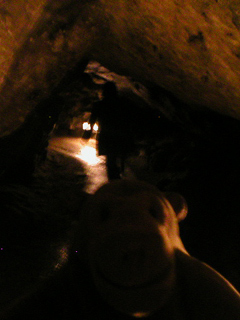 Mr Monkey in a narrow passage in the Great Masson Cavern