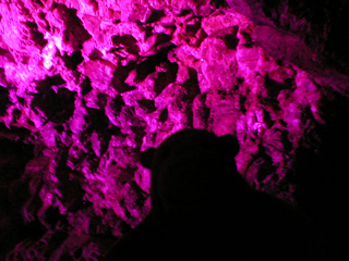 Mr Monkey admiring minerals under coloured lights