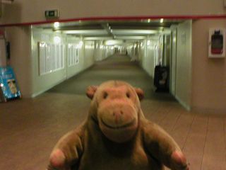 Mr Monkey looking down an empty passenger tunnel