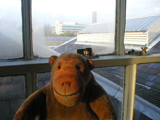 Mr Monkey looking out of the engine house window