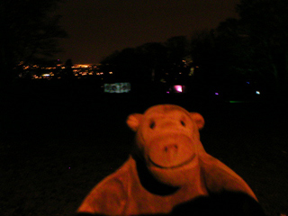 Mr Monkey looking around Saltwell Park in the dark