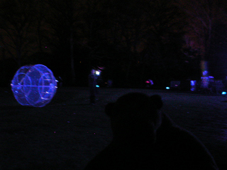 Mr Monkey looking at the lawn behind Saltwell Towers