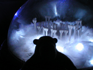 Mr Monkey looking at one of the globes