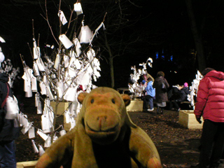 Mr Monkey looking at Yoko Ono's wishing trees