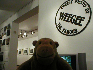 Mr Monkey looking around the Weegee exhibition