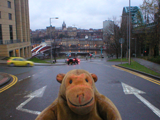 Mr Monkey looking at Newcastle from Bottle Bank