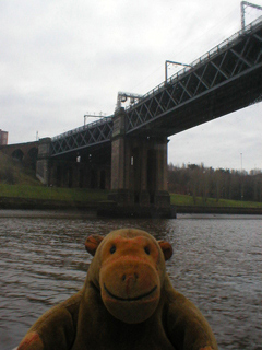 Mr Monkey looking at the King Edward VII Bridge from below