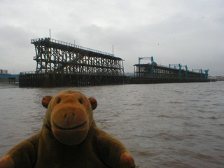 Mr Monkey looking at the Dunston staithes