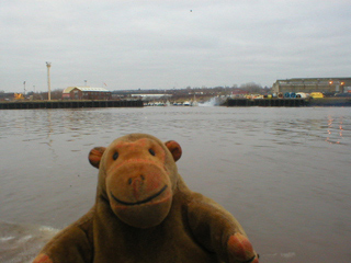 Mr Monkey watching smoke coming from the Willington quay marina