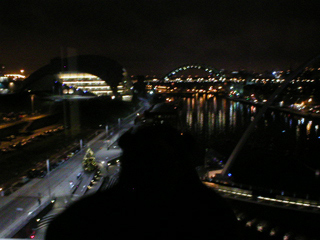 Mr Monkey looking at Newcastle from the observation deck of the Baltic