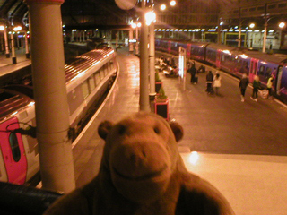 Mr Monkey looking down on the platforms at Newcastle station