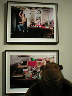 Mr Monkey looking at one of Eric Fong's Shanghai Remedies pictures