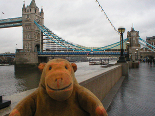 Mr Monkey looking at Tower Bridge