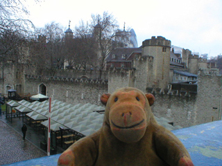 Mr Monkey looking at the Tower of London from Tower Bridge