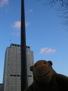 Mr Monkey looking at the British Columbian flagpole