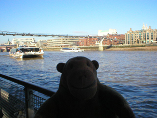 Mr Monkey watching a catamaran arriving at Bankside Pier