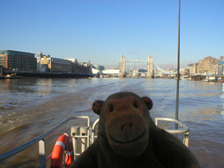 Mr Monkey looking behind the boat around Wapping