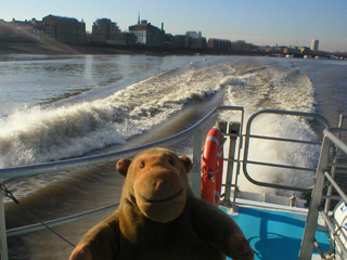 Mr Monkey looking at the wake of the speeding boat
