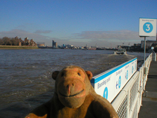 Mr Monkey watching the Clipper leave the pier at Greenwich