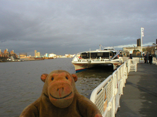 Mr Monkey realising that his boat has arrived