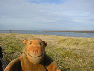 Mr Monkey looking at the mouth of the Wyre