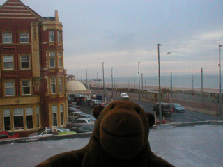 Mr Monkey looking along the promenade from the hotel