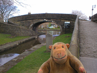 Mr Monkey looking back at Bridge 1