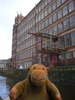Mr Monkey looking back at Goyt Mill