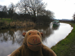 Mr Monkey watching a cabin cruiser on its way to Marple