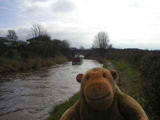 Mr Monkey watching a narrowboat heading away from Marple