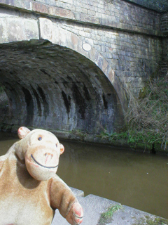 Mr Monkey looking at Bridge 7