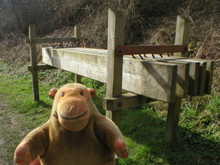 Mr Monkey looking at the stop planks beside Bridge 7