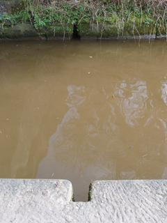 The stop groove in the coping beside Bridge 7