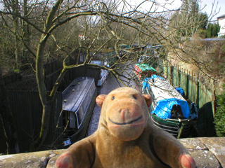 Mr Monkey looking down on the High Lane Arm