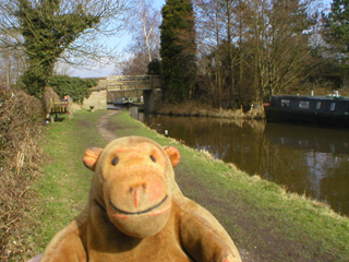 Mr Monkey looking at Bridge 13